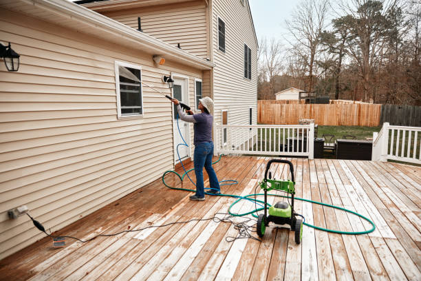 Best Roof Pressure Washing  in Okawvle, IL