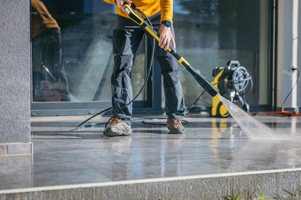 Best House Pressure Washing  in Okawvle, IL