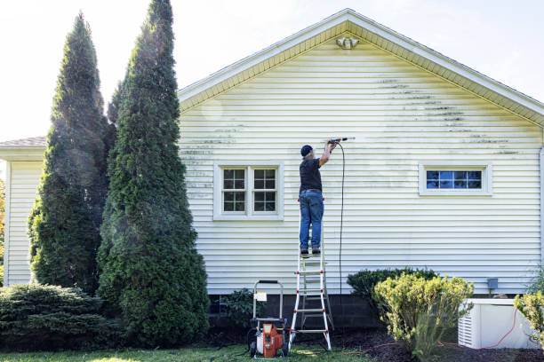 Best Sidewalk Pressure Washing  in Okawvle, IL