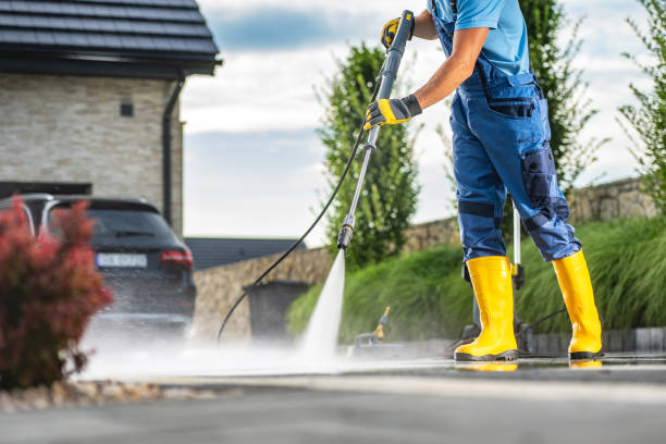 Best Exterior Home Cleaning  in Okawvle, IL